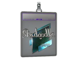 Sticker Slab | Skadoodle (Foil) | Boston 2018