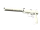 USP-S | Whiteout CS2 skin