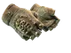 ★ Hydra Gloves | Mangrove CS2 skin