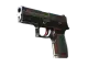 P250 | Cyber Shell CS2 skin