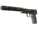 Souvenir USP-S | Night Ops (Battle-Scarred)