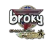 Sticker | broky (Glitter, Champion) | Antwerp 2022 CS2 skin