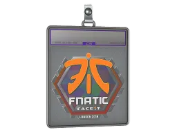 Sticker Slab | Fnatic (Holo) | London 2018