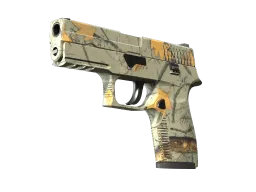 P250 | Modern Hunter (Minimal Wear)