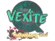Sticker | vexite | Shanghai 2024 CS2 skin