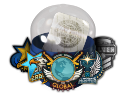 Skill Groups Capsule