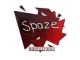 Sticker | spaze | Cologne 2016 CS2 skin