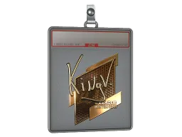Sticker Slab | kNgV- (Gold) | Boston 2018