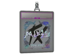 Sticker Slab | mlhzin (Holo) | Austin 2025