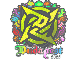 Sticker | Ninjas in Pyjamas (Holo) | Budapest 2025