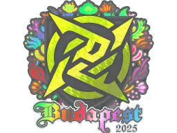 Sticker | Ninjas in Pyjamas (Holo) | Budapest 2025