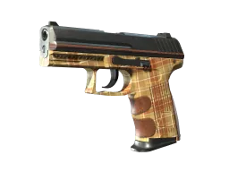 P2000 | Coach Class (Minimal Wear)