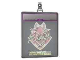 Sticker Slab | HooXi (Holo) | Copenhagen 2024