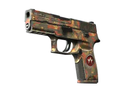 P250 | Red Rock (Battle-Scarred)