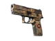 P250 | Red Rock CS2 skin