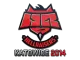 Sticker | HellRaisers | Katowice 2014 CS2 skin