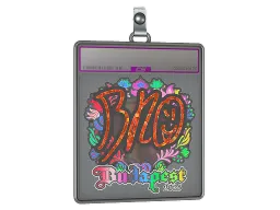 Sticker Slab | br0 (Holo) | Budapest 2025