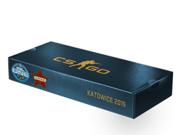 ESL One Katowice 2015 Cache Souvenir Package