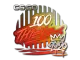 Sticker | 100 Thieves | 2020 RMR CS2 skin