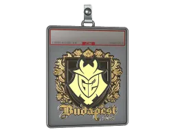 Sticker Slab | G2 esports (Gold) | Budapest 2025