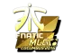 Fnatic (Gold) | MLG Columbus 2016