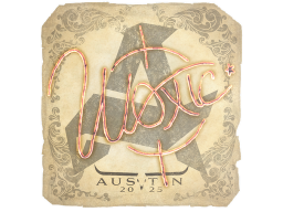 Sticker | woxic | Austin 2025