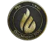 Patch | Copenhagen Flames (Gold) | Stockholm 2021 CS2 skin
