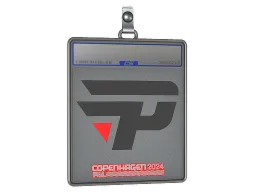 Sticker Slab | paiN Gaming | Copenhagen 2024