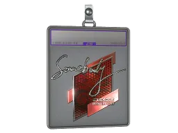 Sticker Slab | somebody (Foil) | Boston 2018