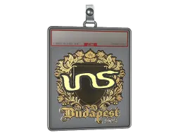 Sticker Slab | INS (Gold) | Budapest 2025