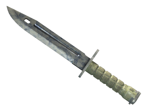 ★ Bayonet | Stained (Field-Tested)