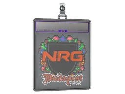 Sticker Slab | NRG (Embroidered) | Budapest 2025