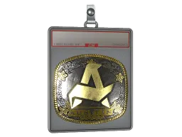 Sticker Slab | Aurora (Gold) | Austin 2025