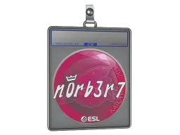 Sticker Slab | n0rb3r7 | Katowice 2019