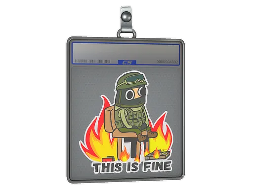 Sticker Slab | This Is Fine (CT)