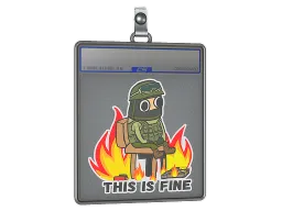 Sticker Slab | This Is Fine (CT)