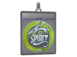 Sticker Slab | Team Spirit | Katowice 2019
