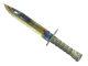 ★ Bayonet | Case Hardened CS2 skin