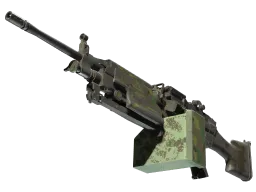 M249 | Jungle DDPAT (Battle-Scarred)