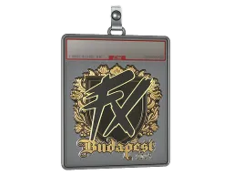Sticker Slab | Fluxo (Gold) | Budapest 2025