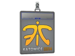 Sticker Slab | Fnatic | Katowice 2014