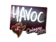 Sticker | Havoc | Cologne 2015 CS2 skin