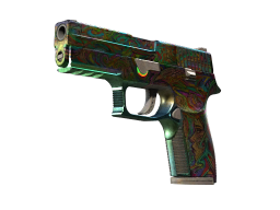 P250 | Visions (Battle-Scarred)