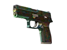 P250 | Visions (Battle-Scarred)