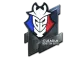 Sticker | G2 Esports | Boston 2018 CS2 skin
