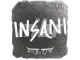 Sticker | insani | Austin 2025 CS2 skin