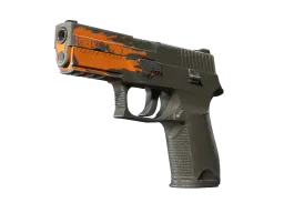 P250 | Splash (Field-Tested)