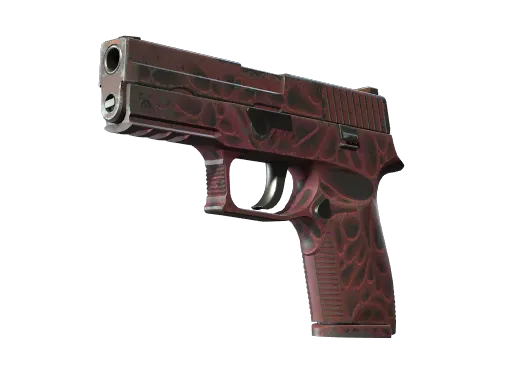 StatTrak™ P250 | Contaminant (Well-Worn)
