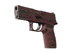 StatTrak™ P250 | Contaminant (Well-Worn)