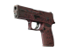 StatTrak™ P250 | Contaminant (Well-Worn)